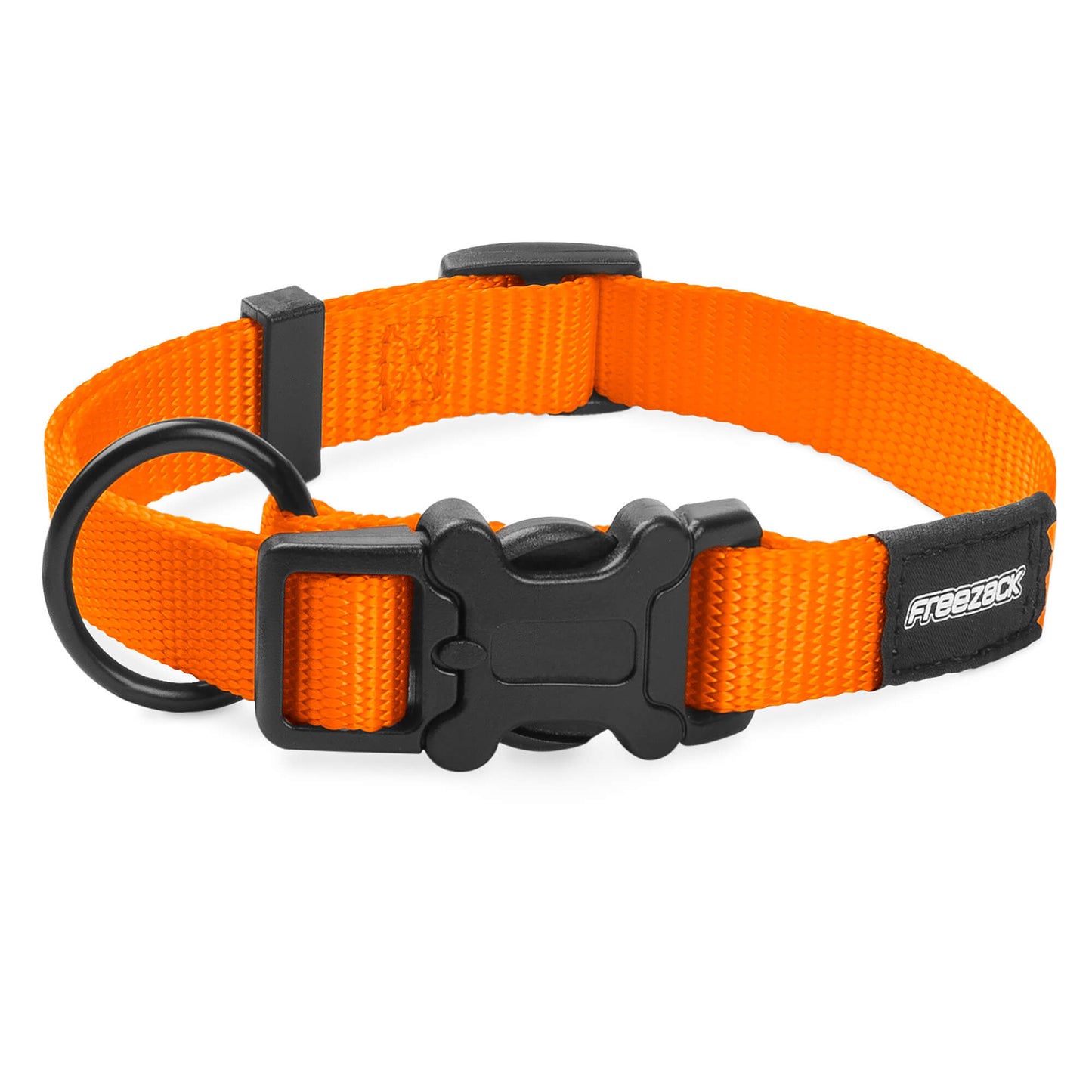Freezack Basic Halsband für Hunde