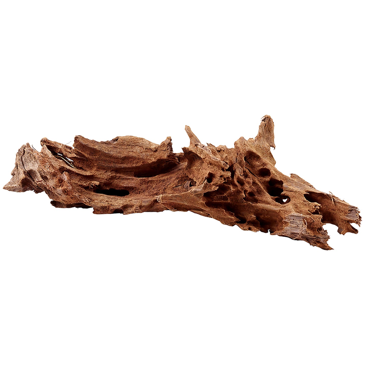 Hobby Mangroven Holz Verstecke