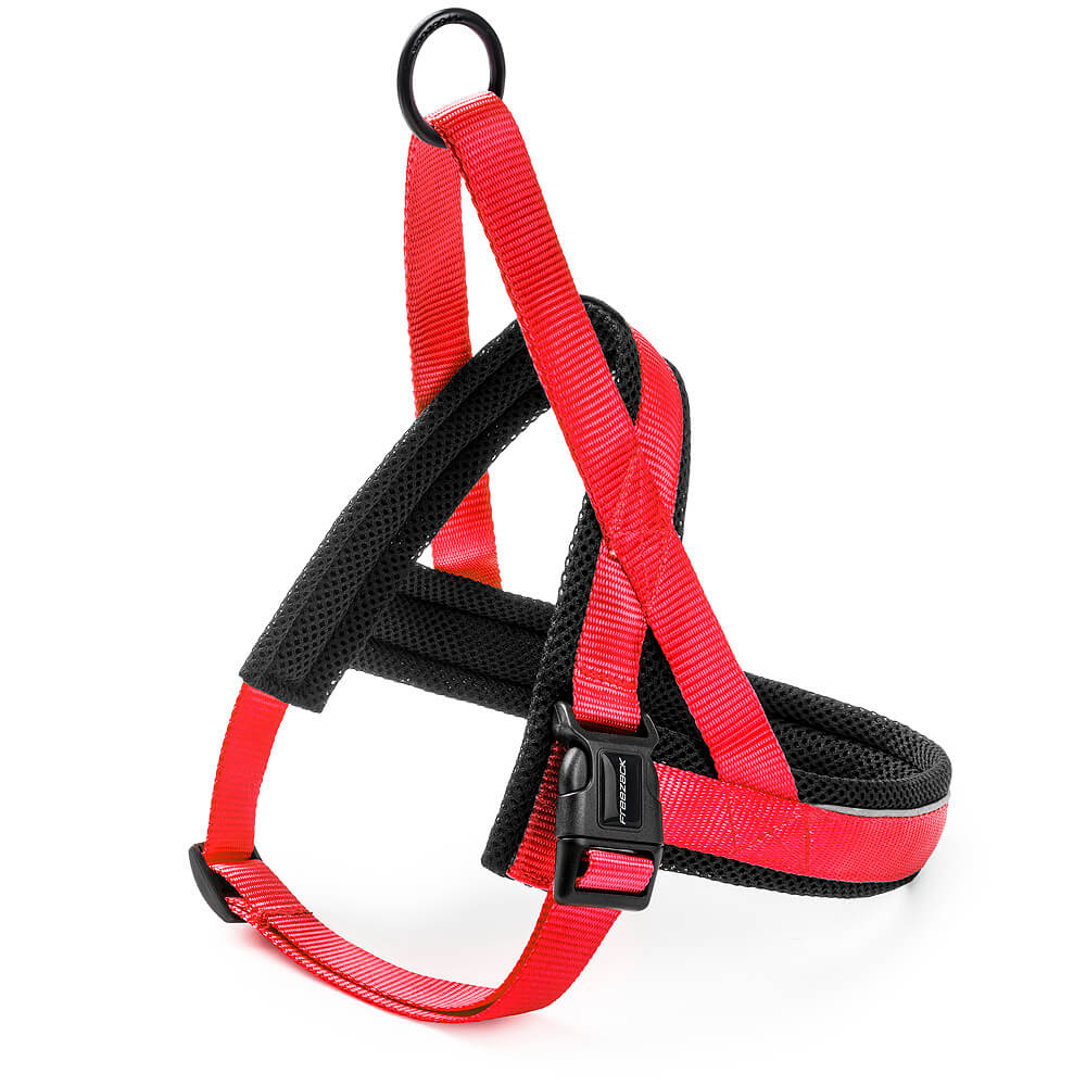 Freezack Nordic Basic Geschirr