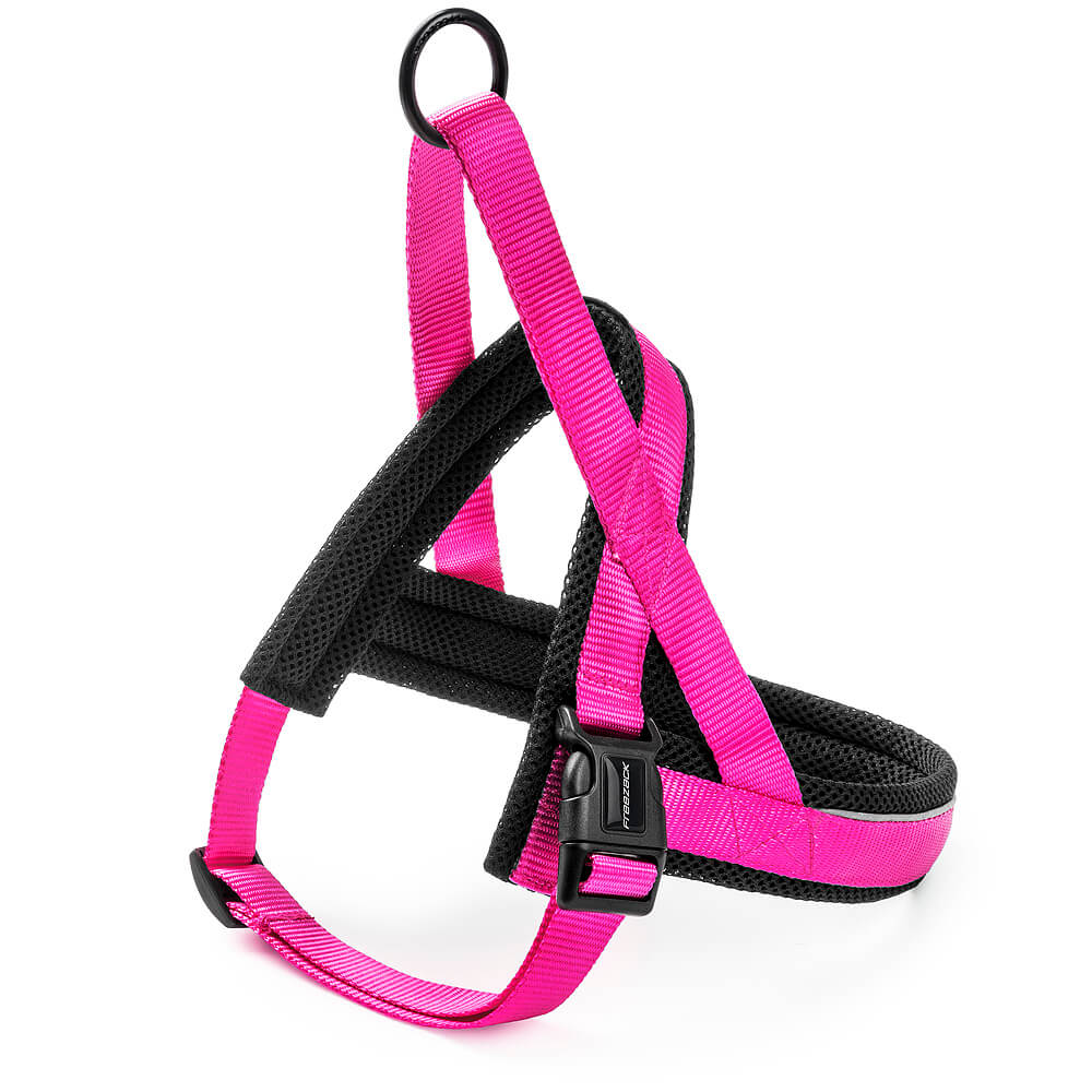 Freezack Nordic Basic Geschirr