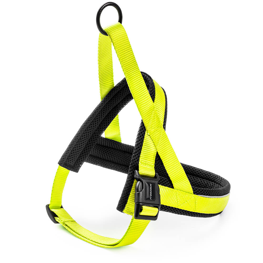 Freezack Nordic Basic Geschirr