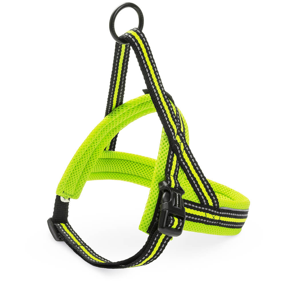 Freezack Nordic Sport Mini für Hunde