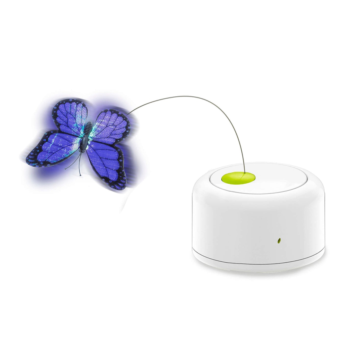 All for Paws Motion Activated Butterfly Spielzeug für Katzen