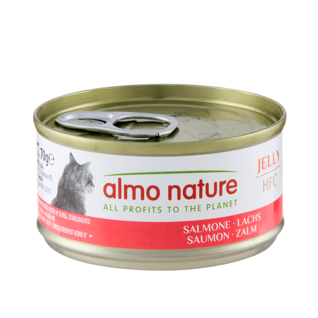 Almo Nature HFC Jelly Cat Lachs Nassfutter für Katzen