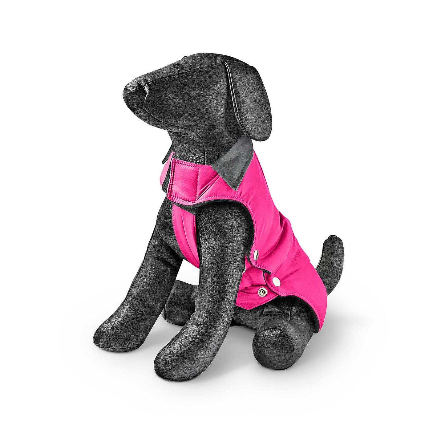 Freezack Young spirit Mantel für Hunde
