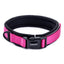 Freezack Nordic Basic Halsband für Hunde
