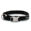 Freezack Comet Halsband für Hunde