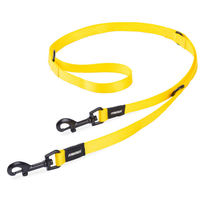 Freezack Basic Leine für Hunde