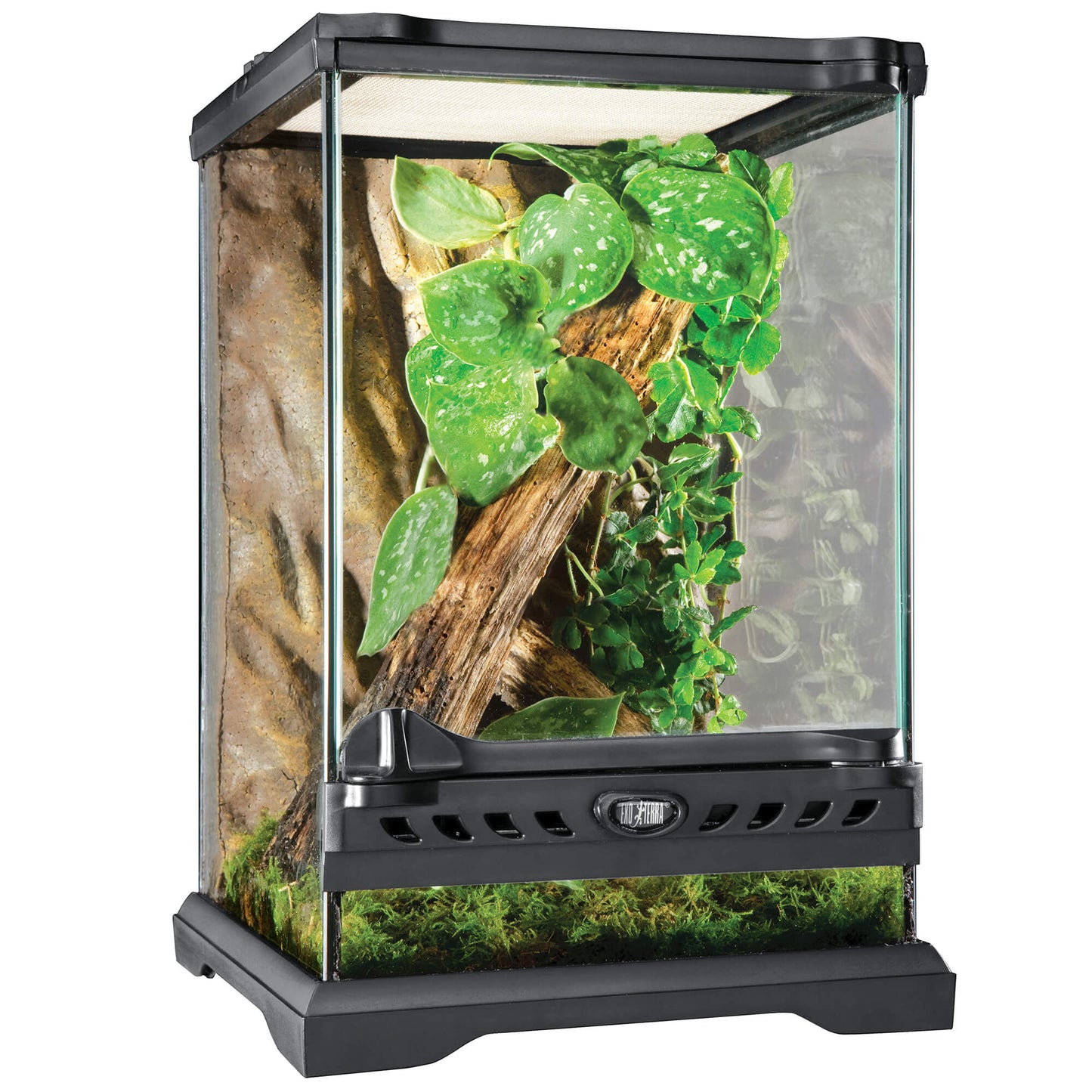 Exo Terra Glas Terrarium Nano Terrarium
