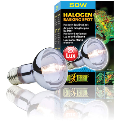Exo Terra Energieeffiziente Breitspektrum-Glühbirne Spot