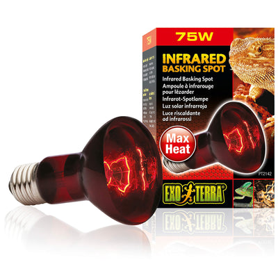 Exo Terra Infrarot Glühbirne Spot