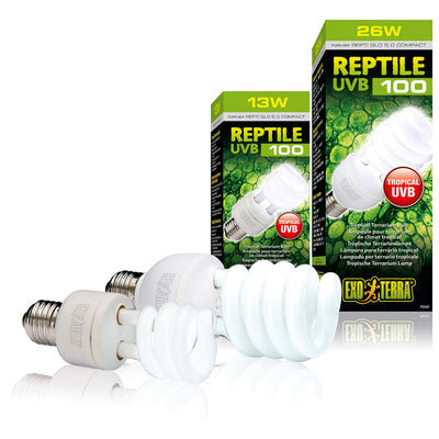 Exo Terra Lampe für tropische und subtropische Reptilien Lampe