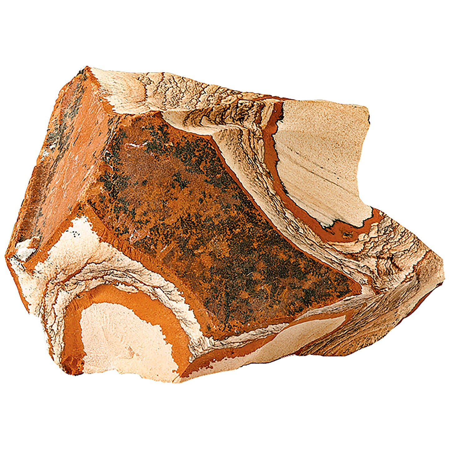 Hobby Picture Jasper Verstecke für Zierfische, Amphibien und Reptilien