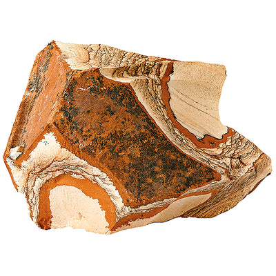 Hobby Picture Jasper Verstecke für Zierfische, Amphibien und Reptilien