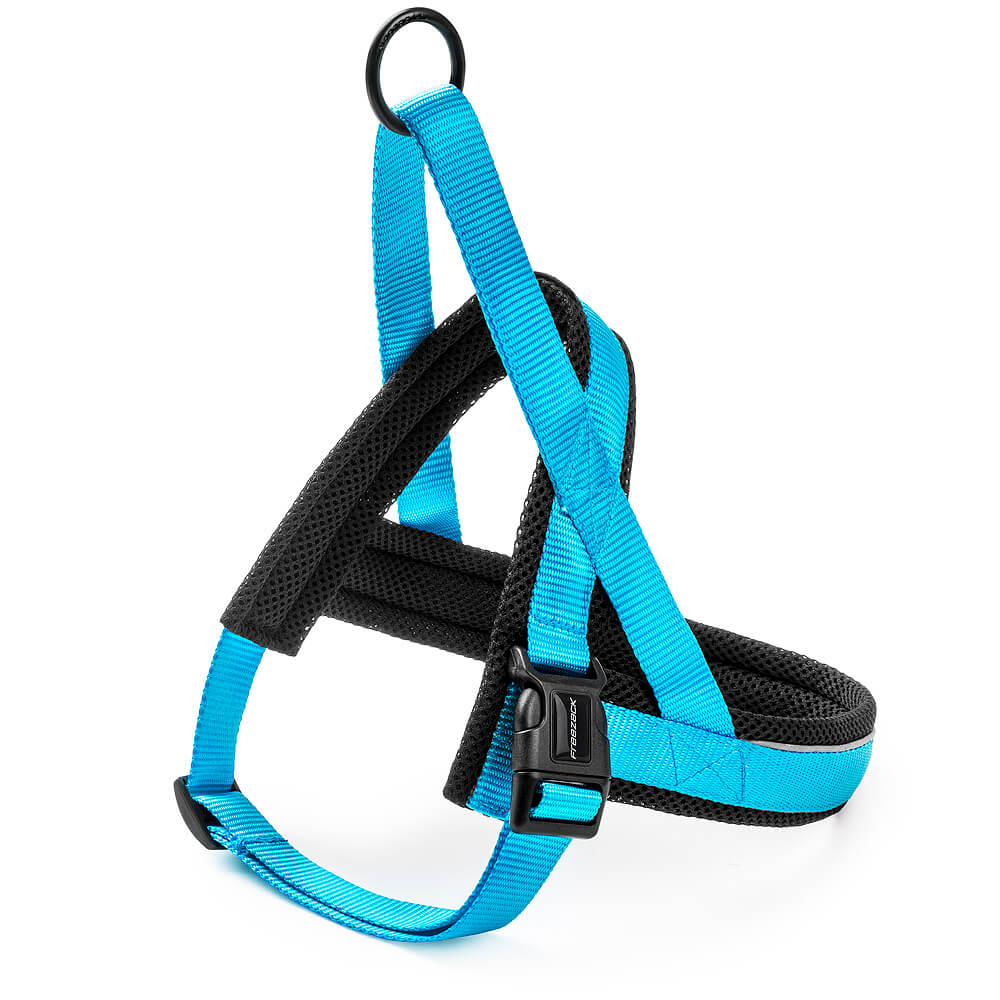 Freezack Hundegeschirr Nordic Basic türkis