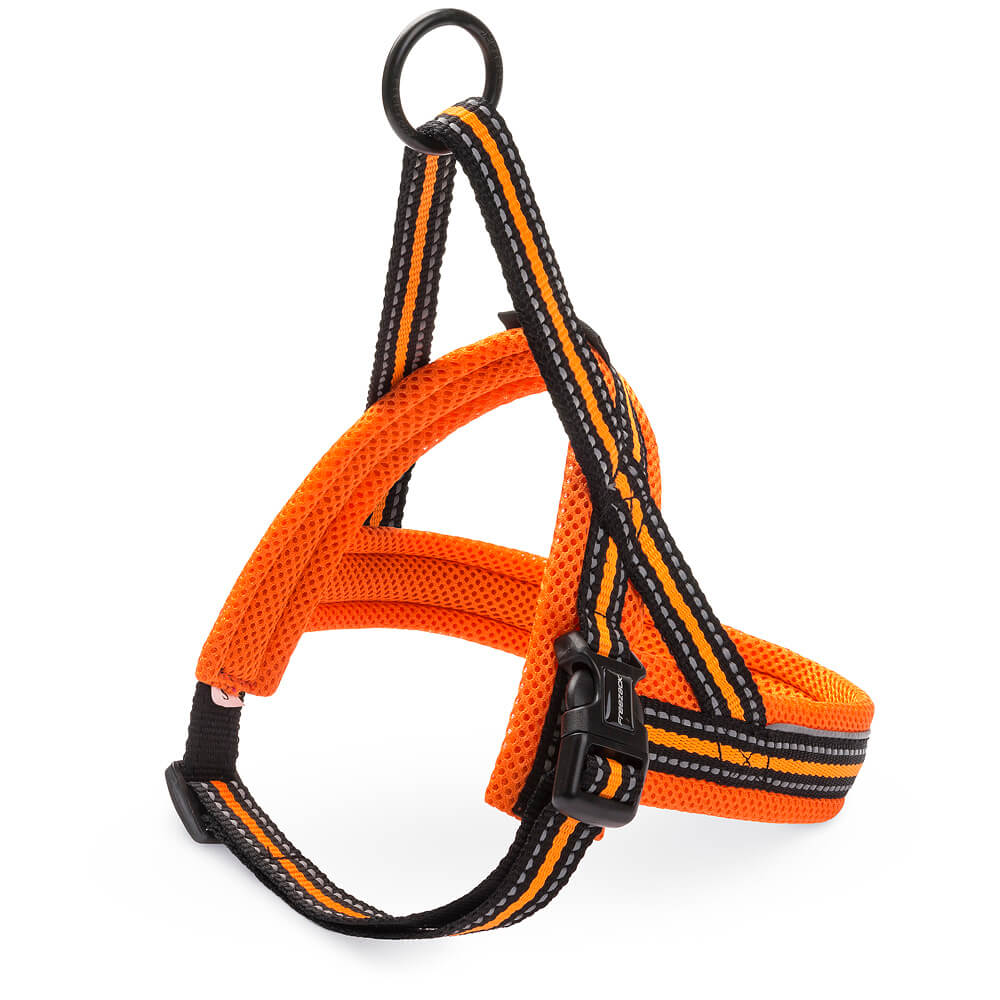 Freezack Nordic Sport Geschirr für Hunde