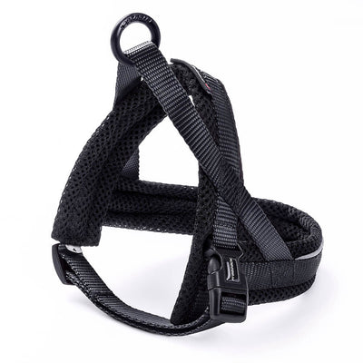 Freezack Nordic Basic Mini Geschirr