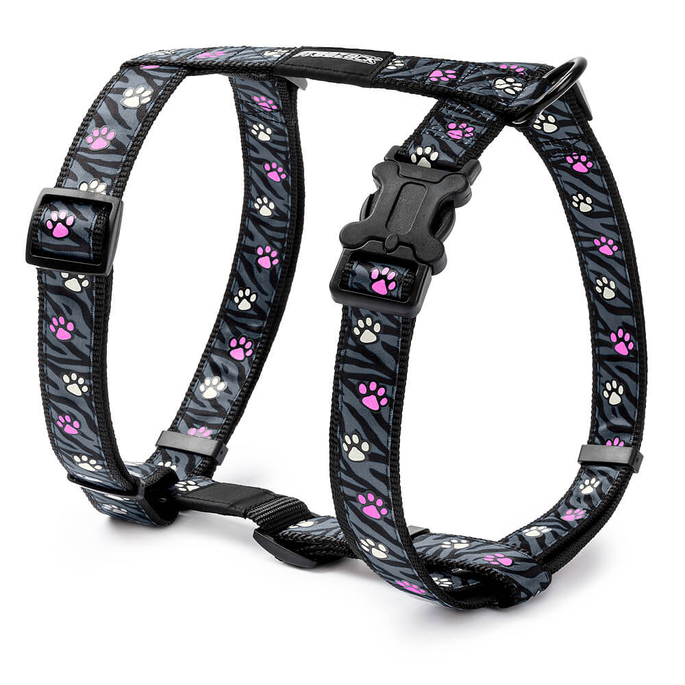 Freezack Asti Glow Geschirr für Hunde