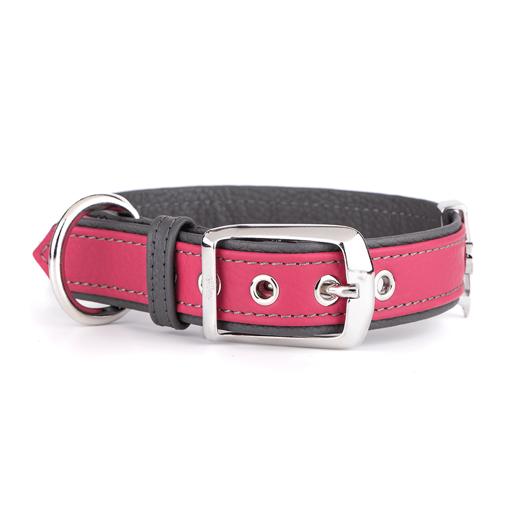 MyFamily Firenze Vitello Halsband für Hunde
