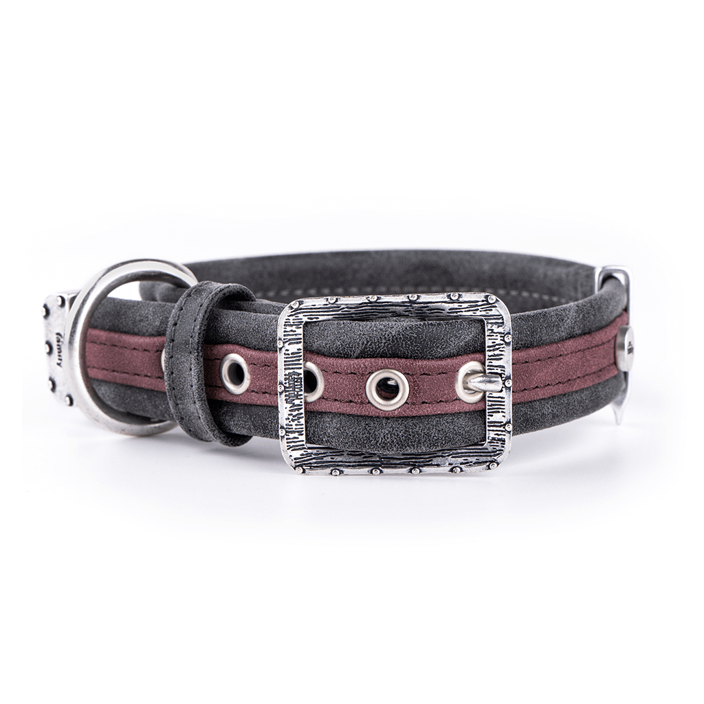 MyFamily London Similpelle Halsband für Hunde