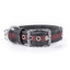 MyFamily London Similpelle Halsband für Hunde