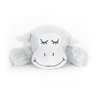 Freezack Sheep Spielzeug für Hunde