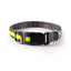 Freezack Light-Collar Halsband für Hunde