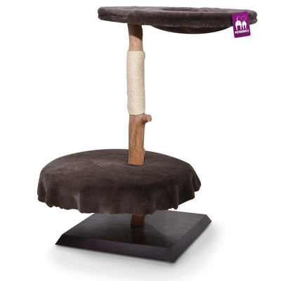 Petrebels  Natural Tree 1