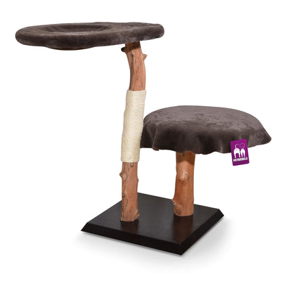 Petrebels Natural Tree 2 Plush braun (49x49x90cm)