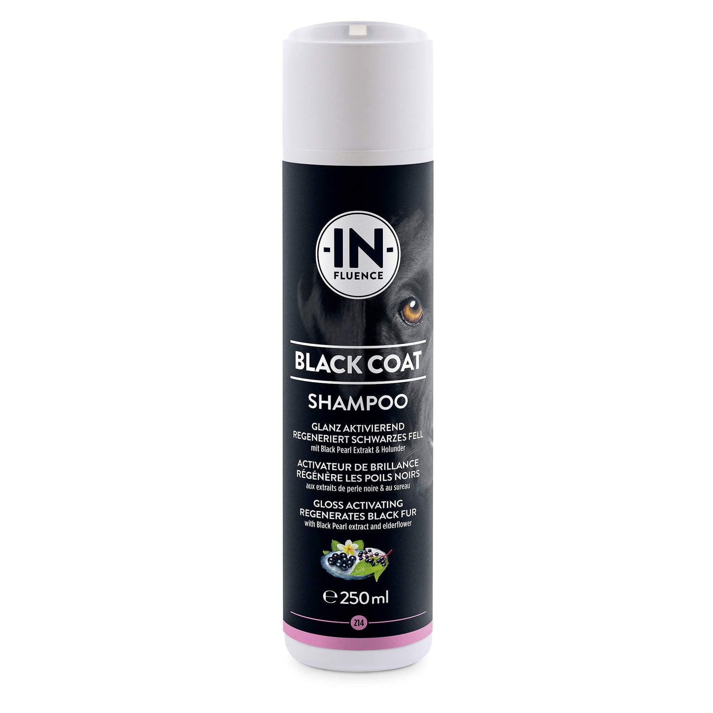 In-Fluence Black Coat Shampoo Pflegemittel für Hunde