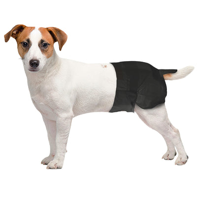 Freezack Einweg-Windeln für Hündinnen Toilettenzubehör für Hunde