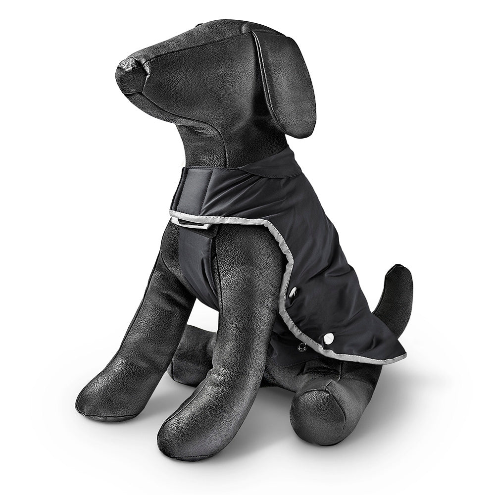 Freezack Sport für Hunde