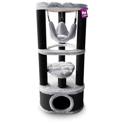 Petrebels Kings & Queens Charlotte 120 Katzenbaum